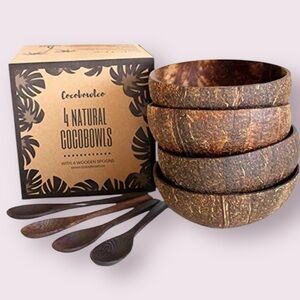 Coconut Bowl and Spoon Set of 4 New In Box by Cocobowl